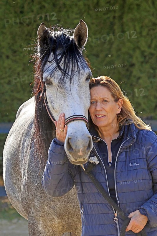 Andalusian, Pura Raza Española, Fröndenberg, North Rhine-Westphalia, Germany, love for horses, partnership