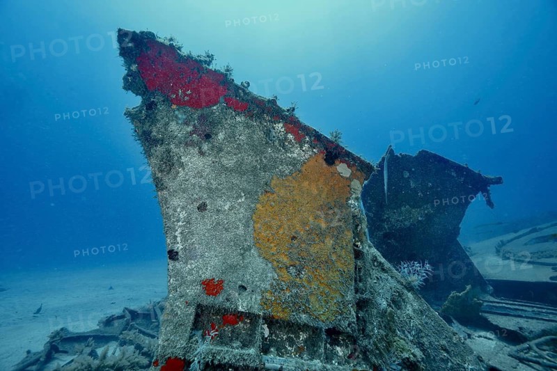 The remains of a rusted shipwreck at the bottom of the sea, decorated with sponges, meteor wreck dive site, Russian hydrofoil, Arguineguin, Gran Canaria, Spain, Europe, Atlantic