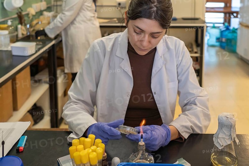 Young female scientist in white lab coat and blue gloves carefully holding a petri dish near a lit alcohol lamp on a lab bench, performing aseptic technique with a colleague visible behind