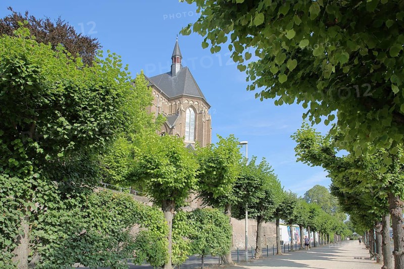 Large chapel with green alley on the banks of the Rhine, Rheinpromenade, Collegium Albertinum, Südstadt, Bonn, North Rhine-Westphalia, Germany