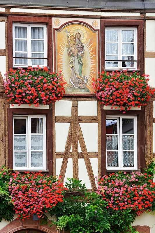 Timbered house, façade with mural and blooming pelargoniums in front of the windows, Kaysersberg Vignoble, Haut-Rhin, Alsace, Grand Est, France