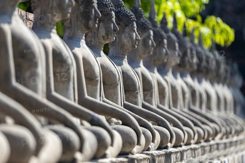 Row of Buddha statues (Bhumispara-mudra, Buddha Gautama at the moment of enlightenment), Great Chedi Chaya Mongkol, Wat Yai Chai Mongkon, Ayutthaya, Thailand
