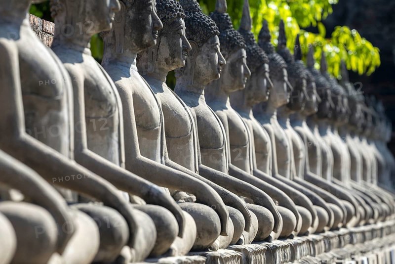 Row of Buddha statues (Bhumispara-mudra, Buddha Gautama at the moment of enlightenment), Great Chedi Chaya Mongkol, Wat Yai Chai Mongkon, Ayutthaya, Thailand
