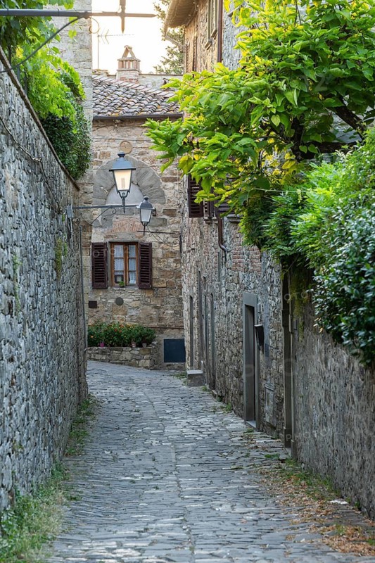 View of a little Street in the little wine town of Montefioralle, Chianti, Florence, Firenze, Tuscany, Italy