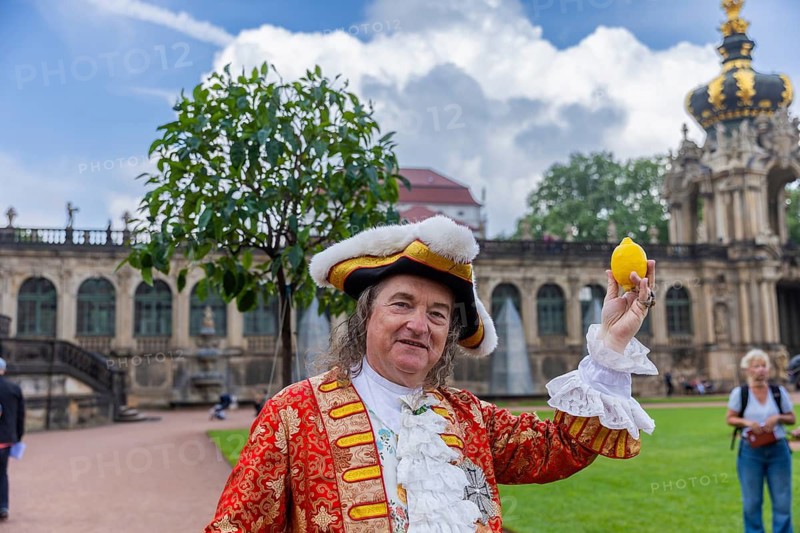 After a five-year break, orange trees are once again in Dresden's Zwingerhof. A total of 52 Italian bitter oranges are set up. Since 2017, the Zwingerhof has been home to the so-called bitter oranges again. The bitter orange trees were purchased in Italy and recall the history of the Zwinger as an orangery. Under Augustus the Strong, there were once 1, 700 orange trees in Dresden's Zwinger. The arched galleries served as winter quarters. Back then, being able to cultivate sensitive plants north of the Alps was considered a sign of power and wealth. Stephan Reher as August the Strong symbolically holding a lemon, Dresden, Saxony, Germany