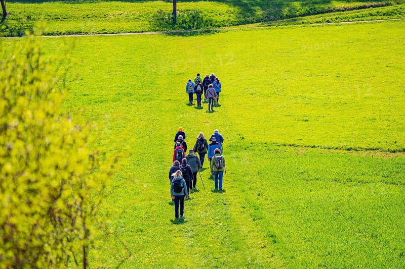 Group of people hiking across an extensive green meadow, Heckengäu nature tour, Aidlingen, Böblingen district, Germany