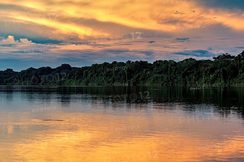 Calm river at sunset with reflected orange sky and thick forest, sunset on the Beni River in the Amazon basin near Rurrenabaque in Bolivia