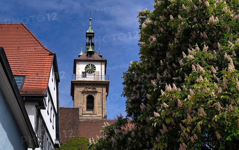Church tower, Protestant City Church, Town Hall, Old Town, Bad Cannstatt, Stuttgart, Baden-Württemberg, Germany