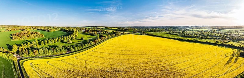 Panorama of Rapeseed Fields and Farms over Horsebridge nad Stockbridge from a drone, Hampshire, England, United Kingdom