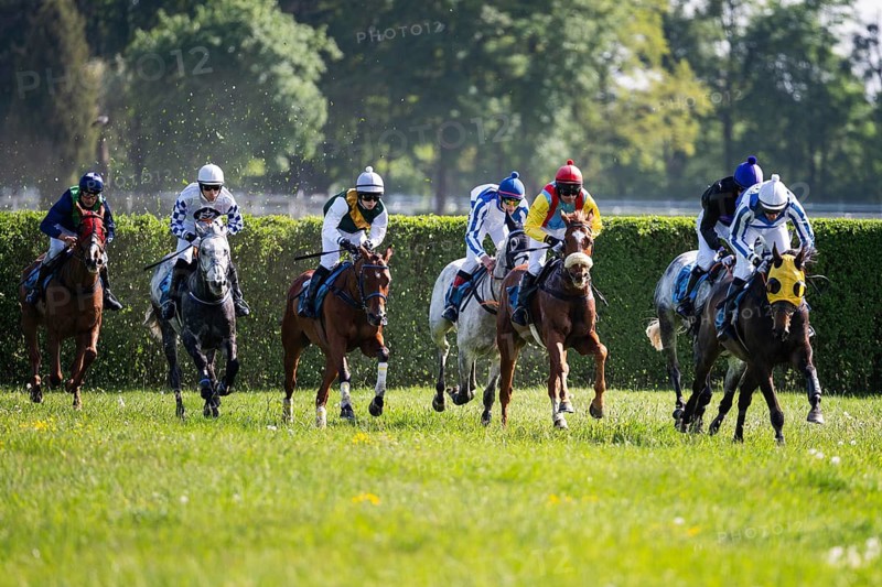 WROCLAW, POLAND - MAY 10, 2026: Horse race track WTWK Partynice. International steeplechase for horses 5 years old and older. Horses runing after jumping over tall green hedge