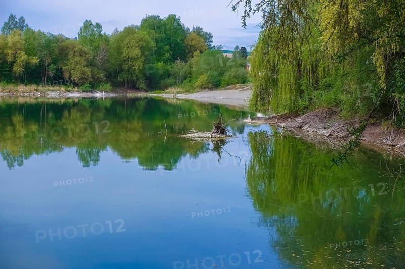 Biberburg, beaver farming in water, lake, reflection, nature conservation, aquatic ecology, habitat, restoration, Laizer quarry lake, trees, landscape, Paultertal industrial park, Laiz-Inzigkofen, Sigmaringen district, Baden-Württemberg, Germany