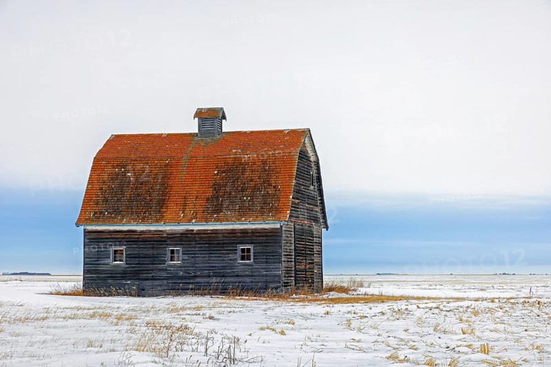 Old wooden barn with gambrel roof on snow covered prairie in winter, Saskatchewan, Canada, North America