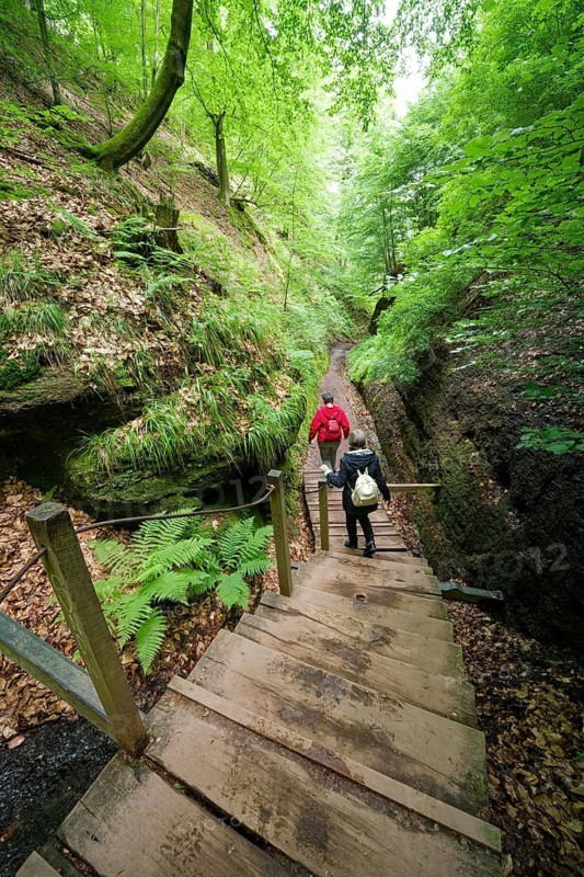Descent into the Dragon Gorge, gorge, rock gorge, hiking trail, hiking destination, fascinating, Eisenach, Thuringian Forest, Thuringia, Germany