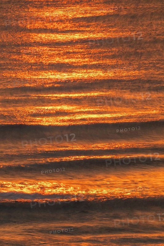 Setting sun colors the sea and small waves golden, Houvig Beach, North Sea, Denmark