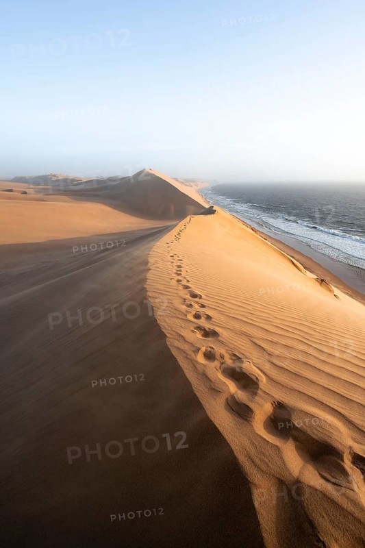 Sand dunes with wave patterns and sea in evening light, wind blowing sand across the dunes, Atlantic coast and sandy desert with sea of dunes, impressive desert landscape at sunset, Sandwich Harbour, Namib Naukluft Park, Namib Desert, Namibia