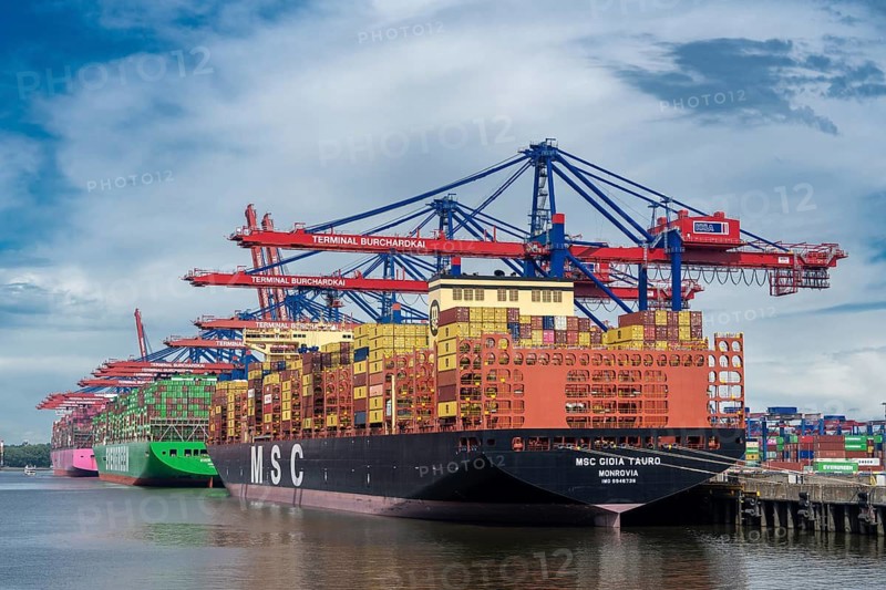 Large container ship MSC Gioia Tauro at the Container Terminal Burchardkai (CTB) in Hamburg-Waltershof during handling under container gantry cranes. In the background are other cargo ships (including Evergreen), Hamburg, Germany