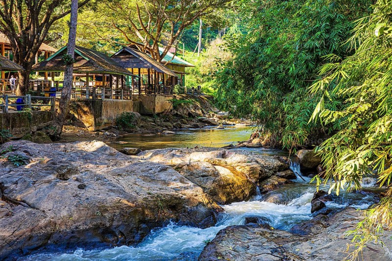Mae Sa Elephant Camp, Mae Rim, Chiang Mai, Thailand