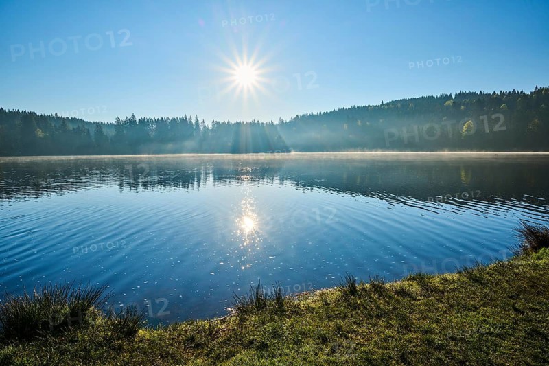 Morning view of a lake with beautiful sun reflection in water, Windgfällweiher, Lenzkirch, Black Forest, Breisgau Hochschwarzwald, Baden-Württemberg, Germany