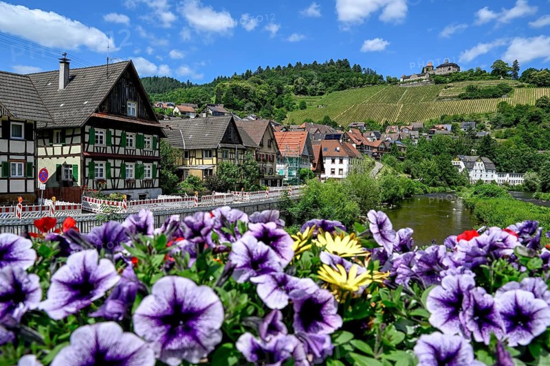 View of the Murg in Obertsrot, Eberstein Castle in the background, near Weisenbach, Murgtal, Rastatt district, northern Black Forest, Baden-Württemberg