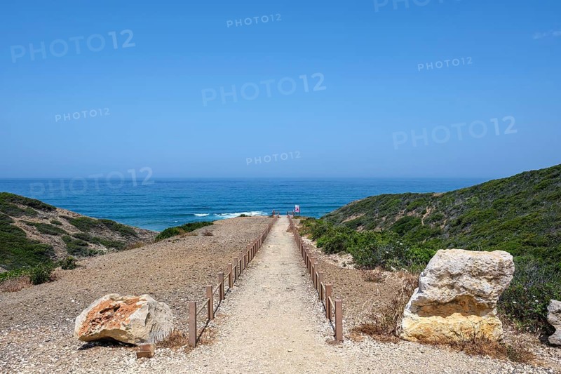 A narrow path runs along a cliff edge to the ocean, flanked by vegetation and blue skies, Rogil, Faro, Portugal