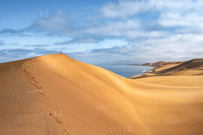 Lonely person standing on a dune, sand dunes and sea in morning light, Atlantic coast and sandy desert with sea of dunes, Sandwich Harbour, Namib Naukluft Park, Namib Desert, Namibia