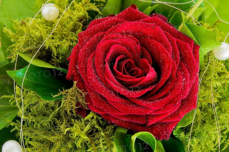 Single rose with greens and decorative beads tied into a bouquet, in a vase on a wooden table top