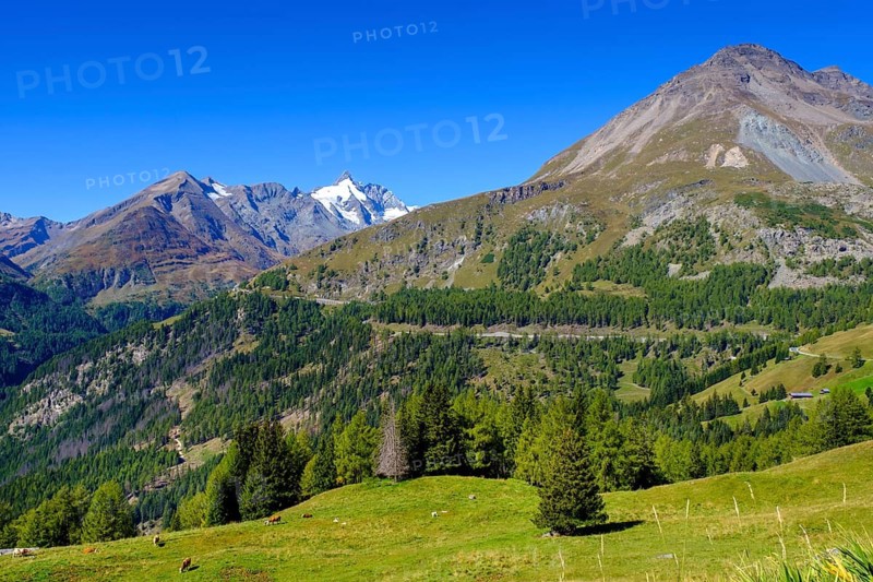 Kasereck viewpoint, Grossglockner-Hochalpenstraße, curvy Alpine road, Bergstraße, Passstraße, Alpenpass, Grossglockner, Carinthia, Austria