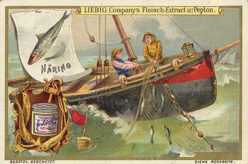 Picture series Fishing, catching herring. You can see fishermen on a sailboat retrieving a net, Liebigbild, digitally restored reproduction of a collector's painting from around 1900, exact date unknown