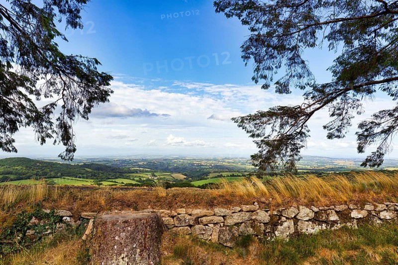 Scenic view, panoramic view from a hill over green fields and valleys, agricultural landscape crossed by hedges, traditional Cornish stone wall, Minions, Bodmin moor in summer, Cornwall, England, Great Britain