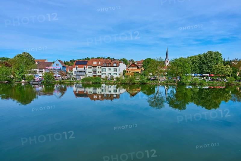Picturesque village view with church whose reflection can be seen in the quiet river, Main, Veitshöchheim, Würzburg district, Spessart, Mainfranken, Lower Franconia, Bavaria, Germany