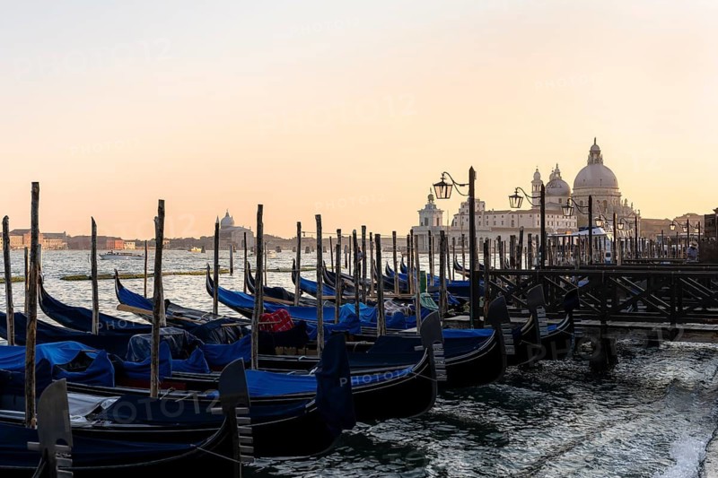 Venetian gondolas, boat dock at St. Mark's Square, in the back Basilica Santa Maria della Salute in the evening light, Venice, Veneto, Italy