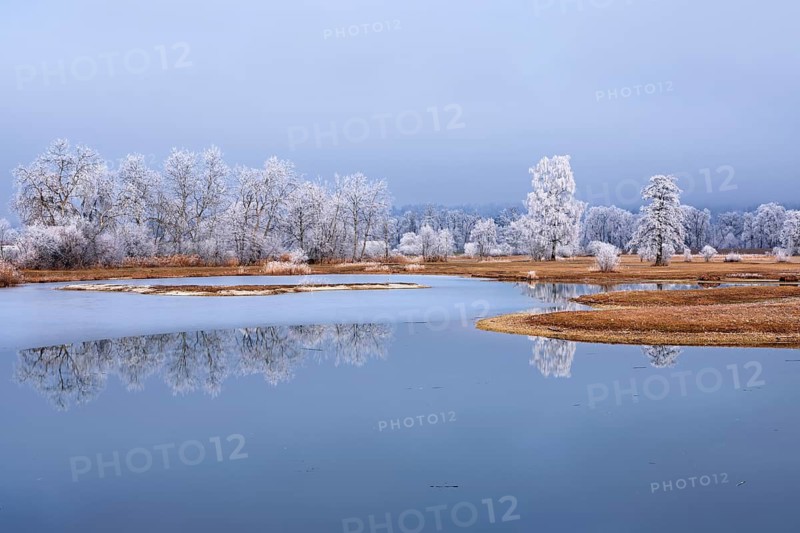 Frozen pond and trees in hoarfrost, nature reserve, Schoren, Mühlau, Freiamt, Aargau Canton, Switzerland