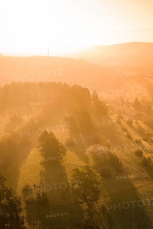 Forest and meadows in sunset light with long shadows, Deufringen, Aidlingen, Heckengäu region, Böblingen district, Germany