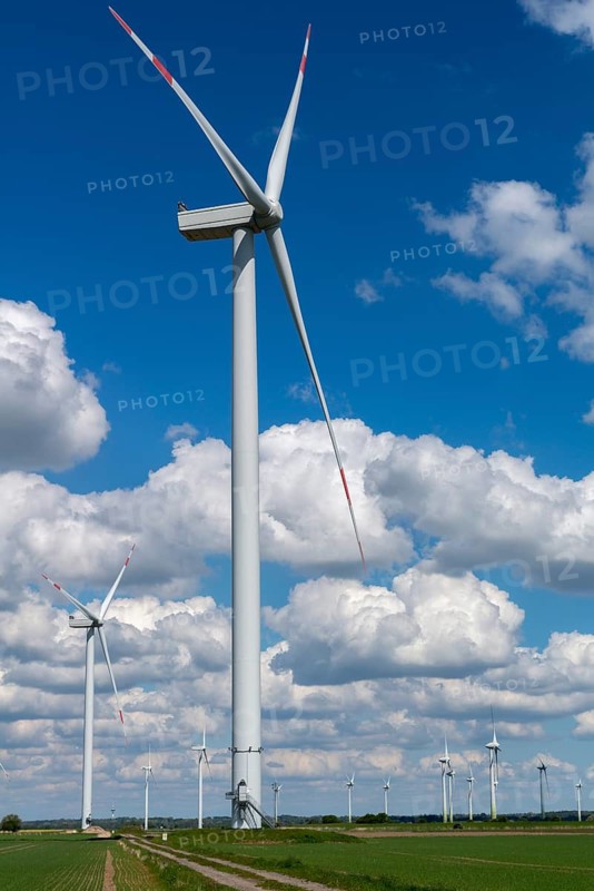 Wind turbines in the Reußenköge Bürgerwindpark, North Frisia, clean energy, power generation, economy, technology, path, field cultivation, agriculture, spring, blue sky, west coast of Schleswig-Holstein, Germany