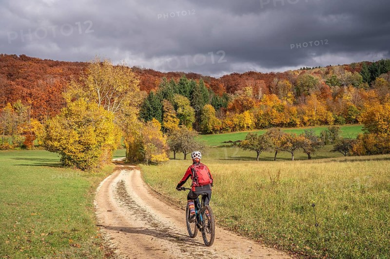 Active woman, riding her electric mountainbike in the gold colored autumn forests of the Swabian Alb, Baden-Wuerttemberg, Germany