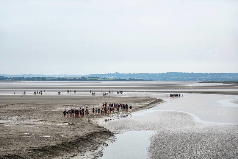 Guided groups of people hiking in a mudflats at low tide in Mont Saint Michel Bay, Pontorson, Manche department, Normandy, France