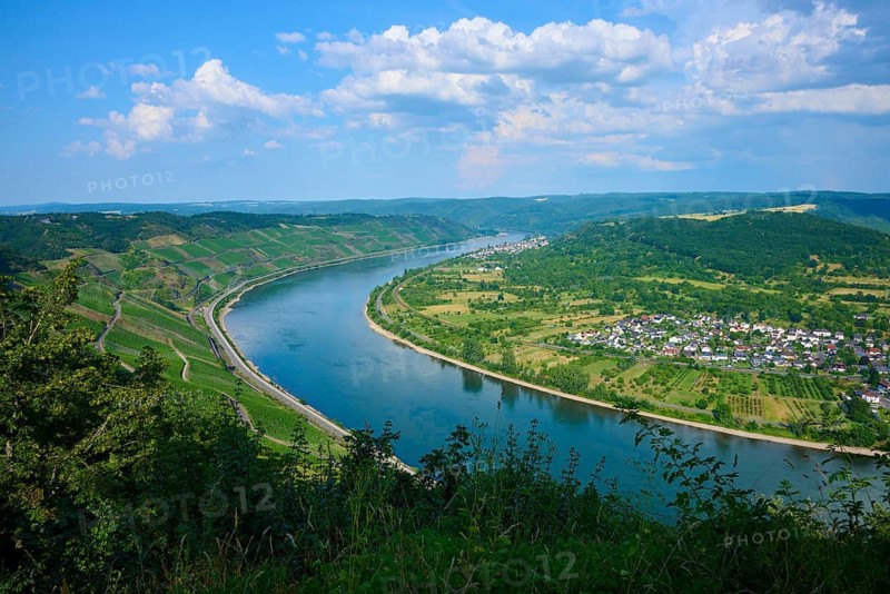 Winding river in a wine region next to a village and green hills, Rheinschleife, Rhine, Boppard, Rheingau, Hesse, Germany