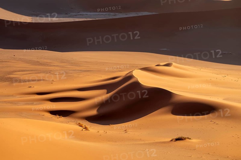 Red and yellow sand dunes of the Namib, Namib Desert, Namib-Naukluft National Park, Namibia