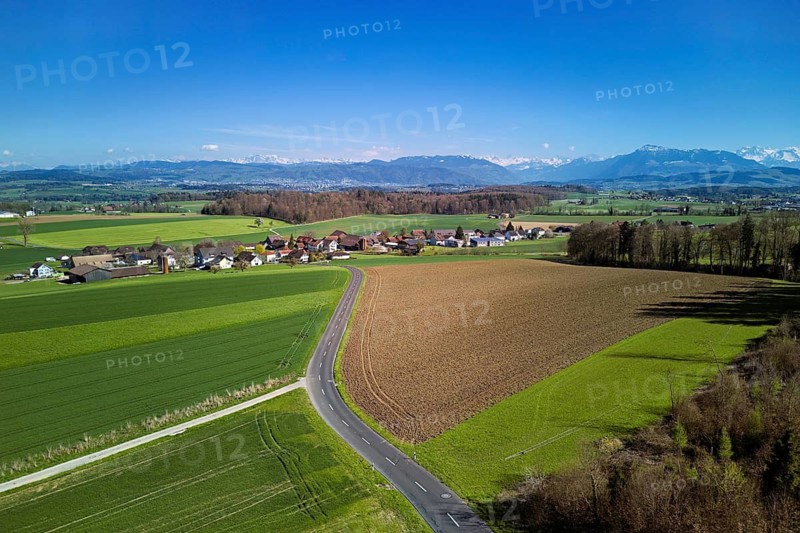 View of the hamlet of Rüstenwil, back the Alps with the Rigi, Auw, Freiamt, Canton of Aargau, Switzerland