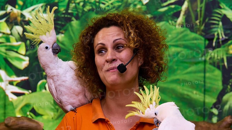 Two white cockatoos with a woman holding a microphone in front of a green background, Parrot (Psittaciformes), Loro, Parrot show, Loro Parque, Puerto de la Cruz, Tenerife, Canary Islands, Spain