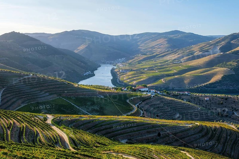 Douro river vineyard hills at sunrise in Portugal, with broad terraced slopes, soft blue shadows, village rooftops and reflective water below