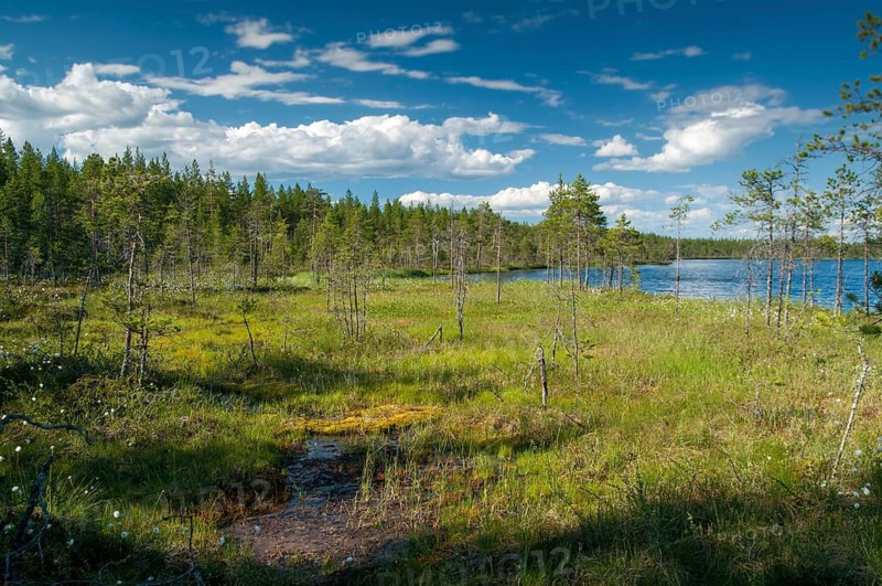 Finland, Bog, Countries, Lake, Landscape, Countries, Marsh, Moor, Travel, Lake, Travels