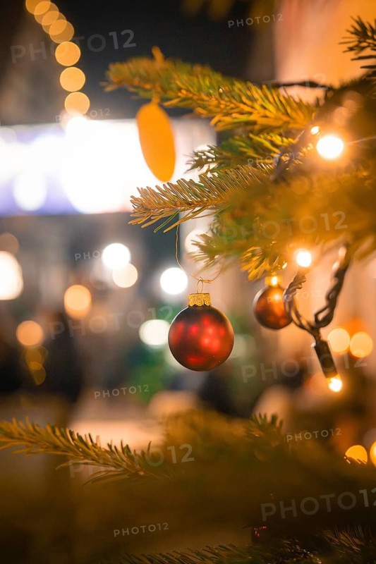 Close-up of a decorated fir branch with red baubles and lights, Christmas atmosphere, Christmas market, Nagold, Black Forest, Germany