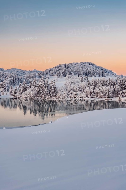 Dawn and sunrise at the wintry Forggensee in a snow-covered winter landscape in the foothills of the Alps in the Allgäu in Bavaria, Germany