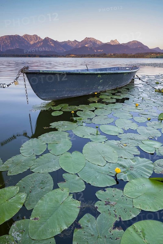 Rowing boat at sunrise, Hopfensee, Hopfen am See, near Füssen, Ostallgäu, Allgäu, Bavaria, Germany