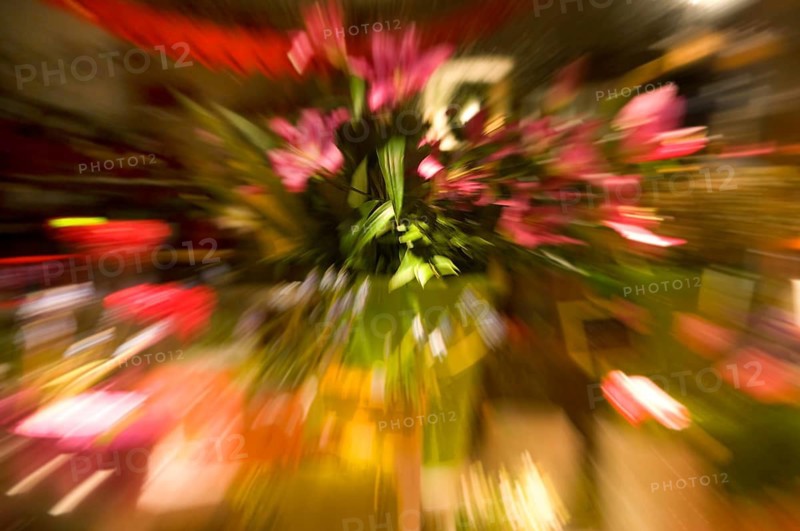 Various flowers, zoom effect