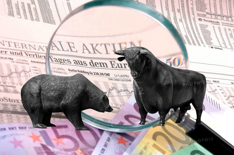 Bull and bear, symbolic figures of the stock market, bear equally falling prices, bull equally rising prices, looking at share prices through the magnifying glass, studio recording, Federal Republic of Germany