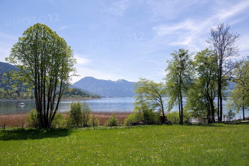 View from Kaltenbrunn across Tegernsee to Wallberg in spring, Gmund am Tegernsee, Bavaria, Germany