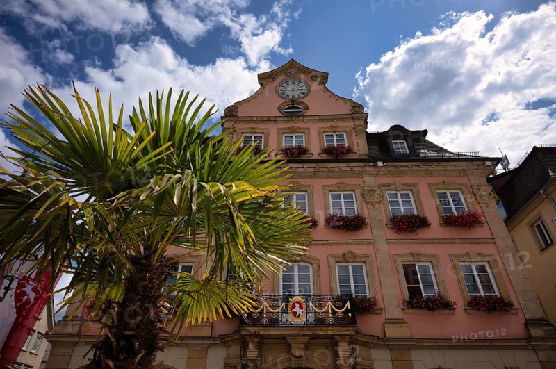 Palm trees in front of town hall, Schwäbisch Gmünd, Baden-Württemberg, Germany