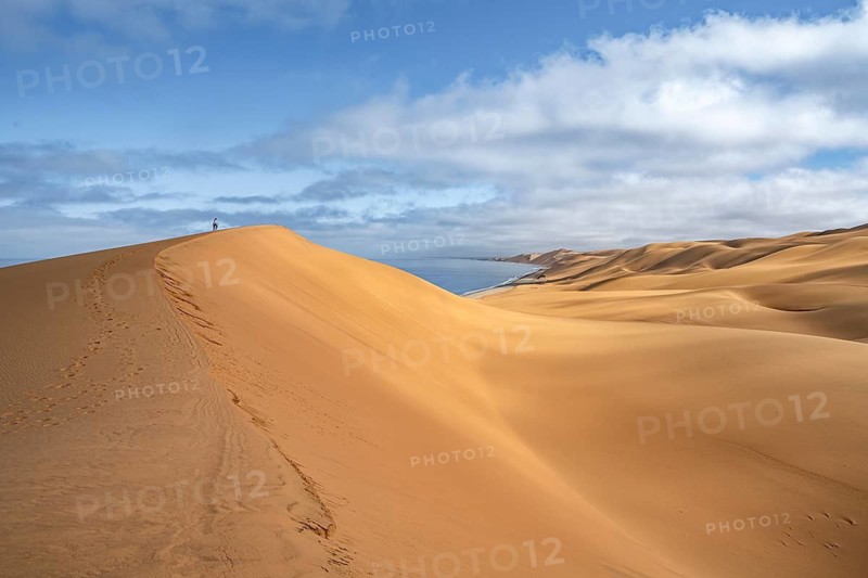 Lonely person on a dune, sand dunes and sea in morning light, Atlantic coast and sandy desert with sea of dunes, Sandwich Harbour, Namib Naukluft Park, Namib Desert, Namibia